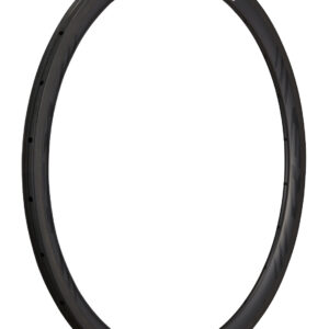 Llanta delantera ancha Rim Carbon R3-T_U1.1 20H (10:10) con logo R3
 - SRV