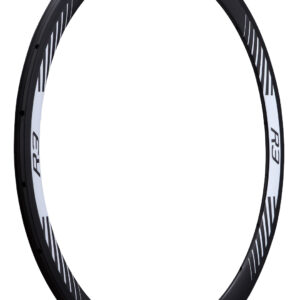 Llanta trasera ancha Rim Carbon R3-T_U1.1 24H (12:12) con logo R3
 - SRV
